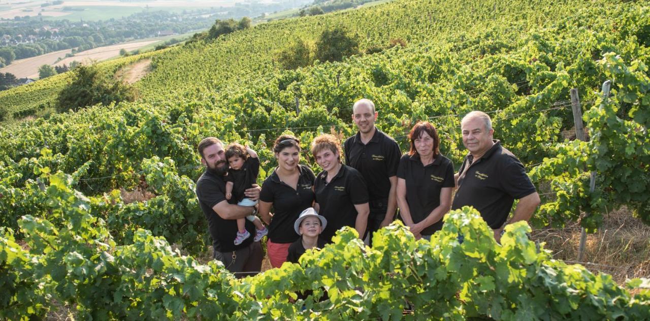 Weinschloesschen Im Weingut Roos Hotel Ilbesheim Екстериор снимка