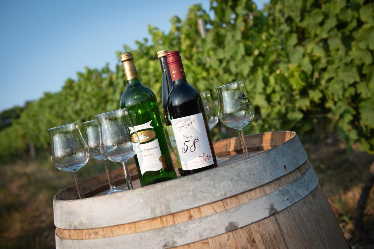 Weinschloesschen Im Weingut Roos Hotel Ilbesheim Екстериор снимка